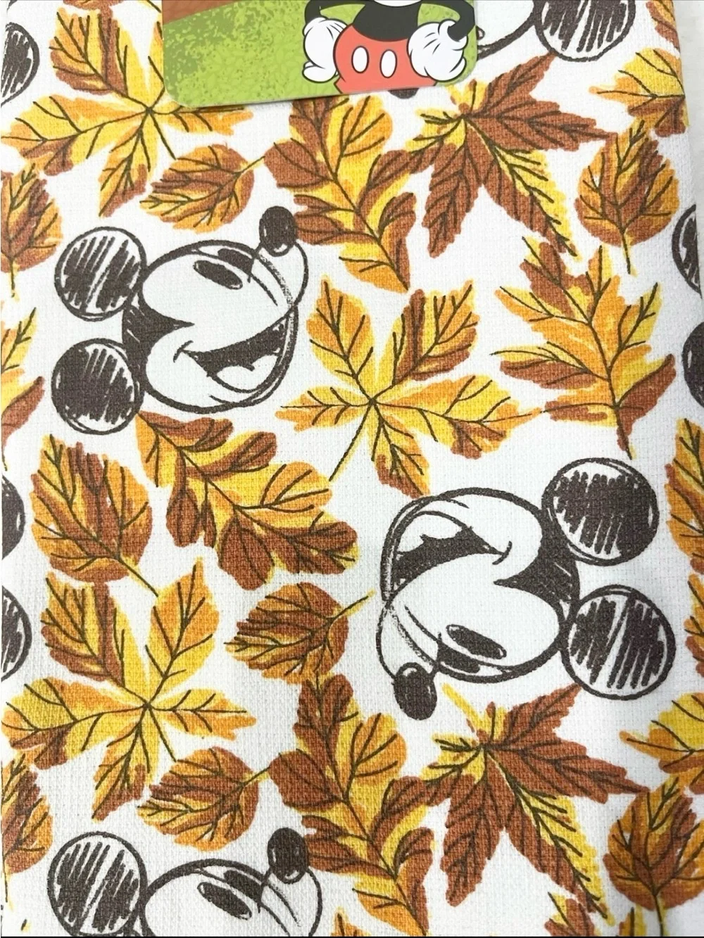 Disney mickey mouse
